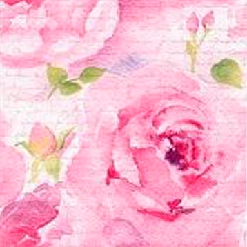 Rosa Delicada Pink Decorative Napkins - 20 ct