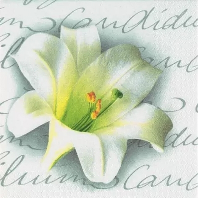 Lilium Candidum Decorative Napkins - 20 ct