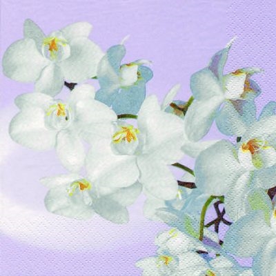 Orchidea Bianca Decorative Napkins - 20 ct