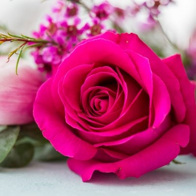 Rose Blossom Decorative Napkins- 20ct