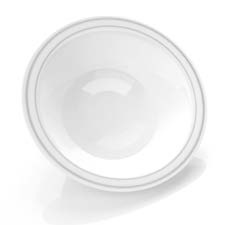 14oz White and Silver China Like Plastic Plates 120 Count
