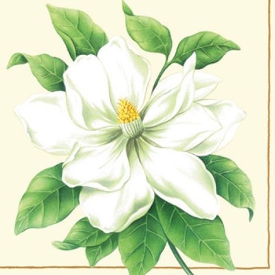 Botanic Magnolia Decorative Napkins - 20 ct