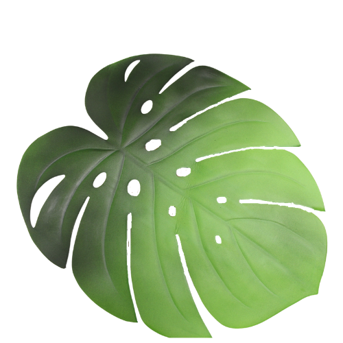 Palm Sliver Leaf Place Mat